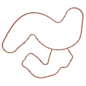 FEL35907 Water Pump Gasket