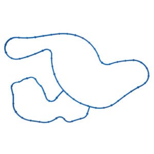 FEL36071 Water Pump Gasket